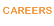Careers Button